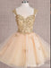 A-line Lace Appliques Lace Up Back Butterfly Ball Gown Graduation Party Short Homecoming Dresses ,QB0709