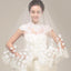 Stunning Short  Lace Applique Wedding Veil With Beadings, WV0102